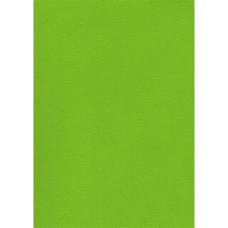 Stamskin TOP 07485 frühlingsgrün