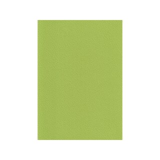 Acua Kunstleder grün / 41
