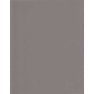 Stamoid Heavy Cover 4313, wolkenrau 20218