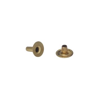 Tubular Rivet L=12 mm / Ø=13 mm brass/singlecalott