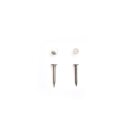 Gurtstifte / 22 x 2,2 mm