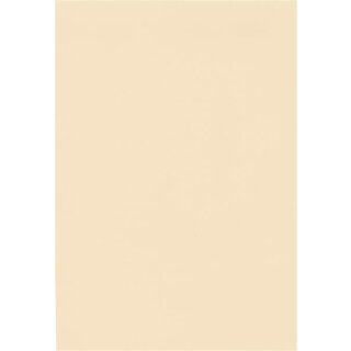 Precontraint 402 schwer entflammbar B1 8341 beige