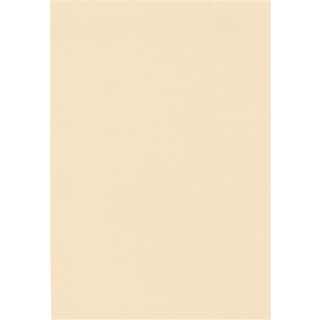 Precontraint 402 schwer entflammbar B1 8341 beige