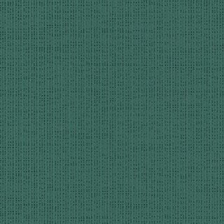 Soltis 92 Nuschale 2137 177 cm
