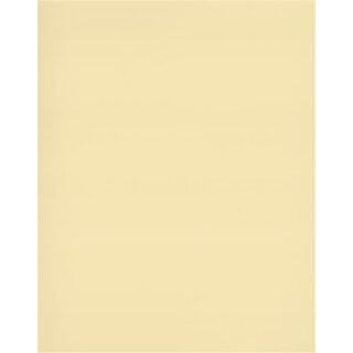 Planenstoff 502 Satin Precontraint 180 cm breit 8341 Champagner