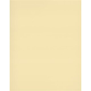 Planenstoff 502 Satin Precontraint 180 cm breit 8341 Champagner