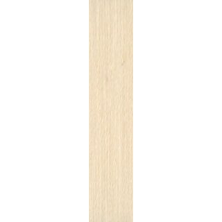 Rasant 50 5095