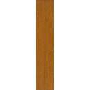 Rasant 50 277