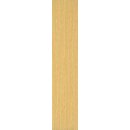 Rasant 50 849