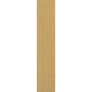 Rasant 50 859