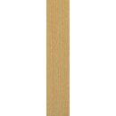 Rasant 50 859
