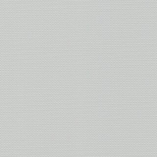 lichtgrau 20001