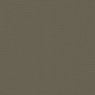 taupe 20165