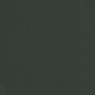 schwarz 20007