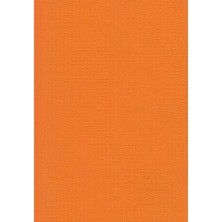 Orange 8204