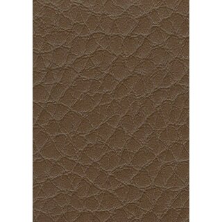 hazelnut f5071174