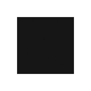 1120 schwarz (RAL 9005)
