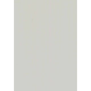 1069 lichtgrau/ RAL 7035