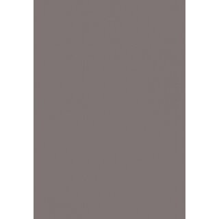 1070 staubgrau/ RAL 7037