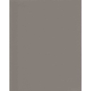20218 cloudy gray
