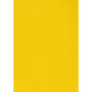 RAL 1021 rape yellow